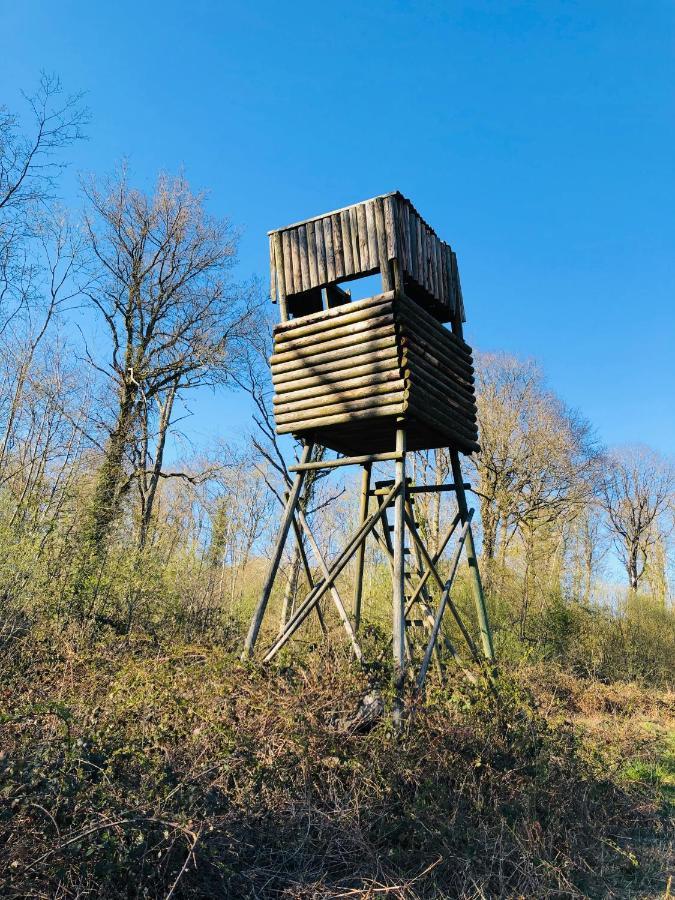 Chambre Du Parc Elevage Girbal La Chapelotte Kültér fotó